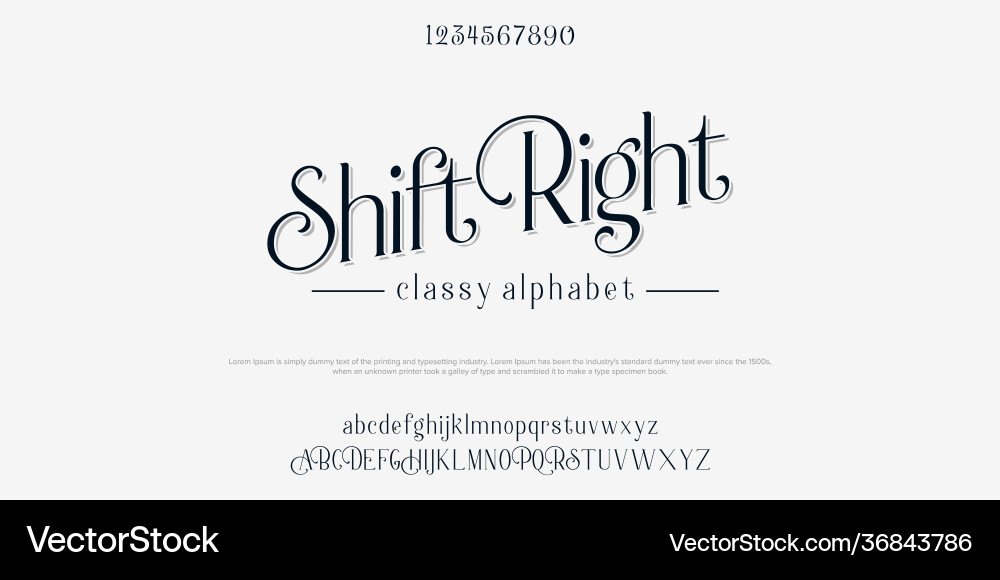 Elegant Script Font Bundle vector image