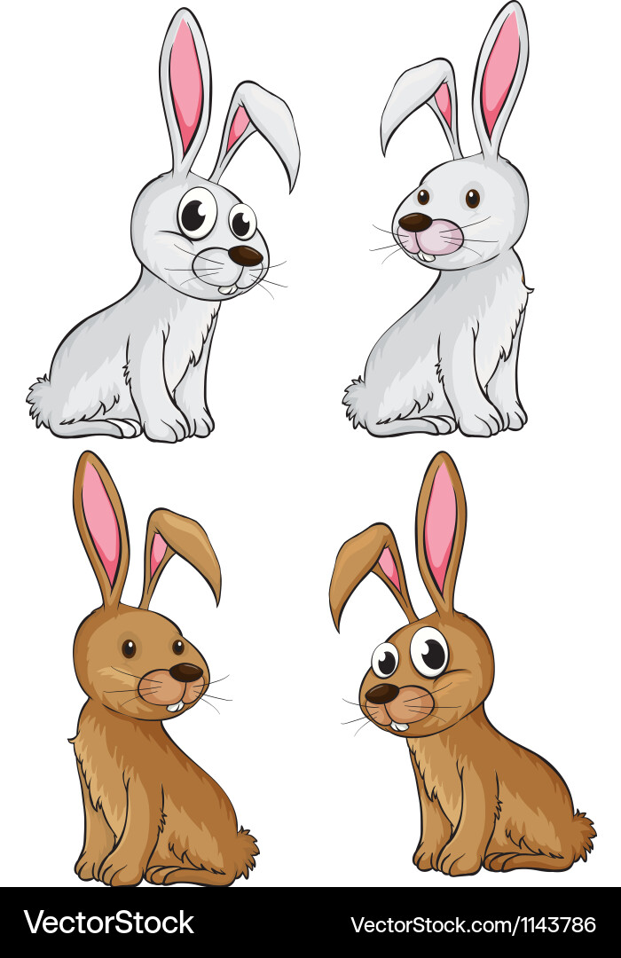 Four rabbits Royalty Free Vector Image - VectorStock