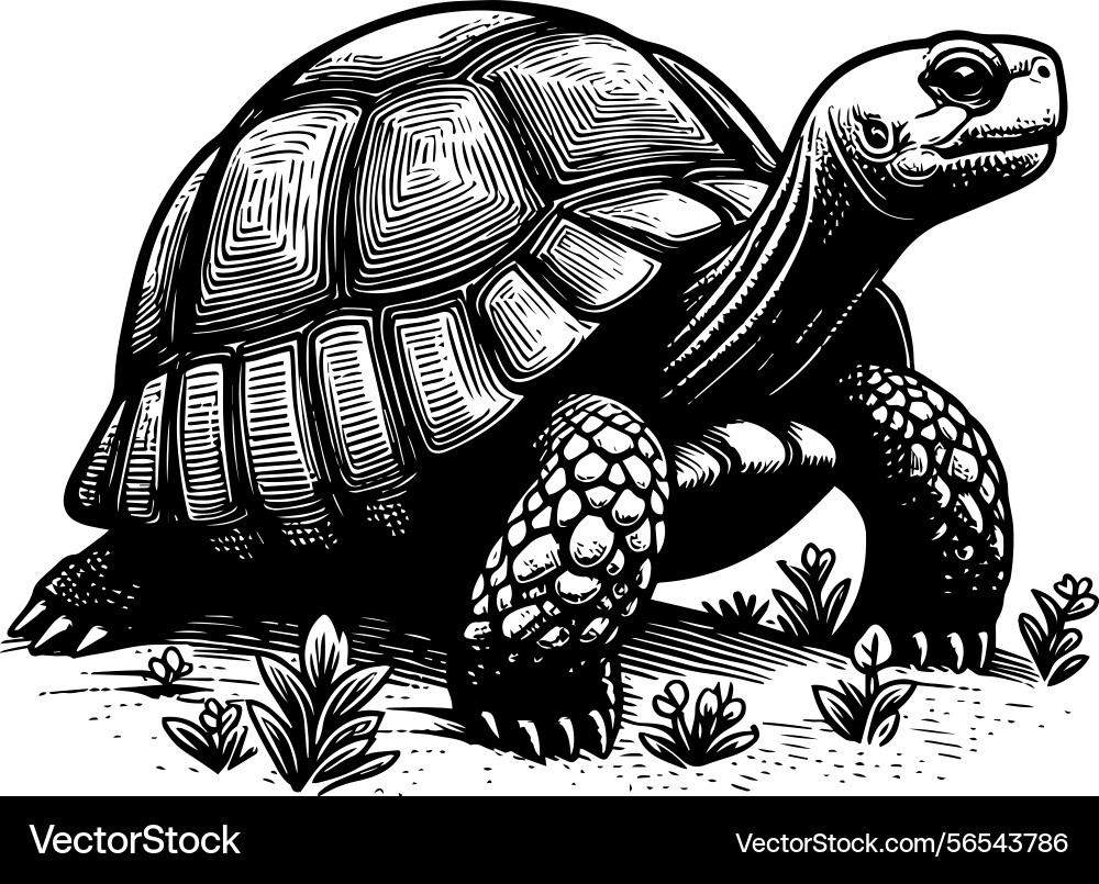 Simple gopher tortoise side view icon vintage Vector Image