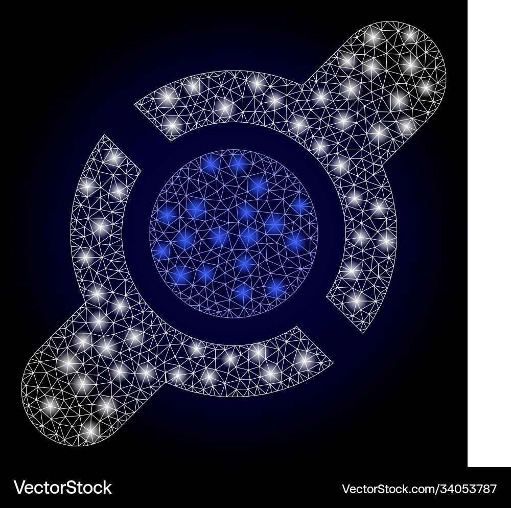 Bright web net joint connection with lightspots Bright web net joint connection with lightspots vector image