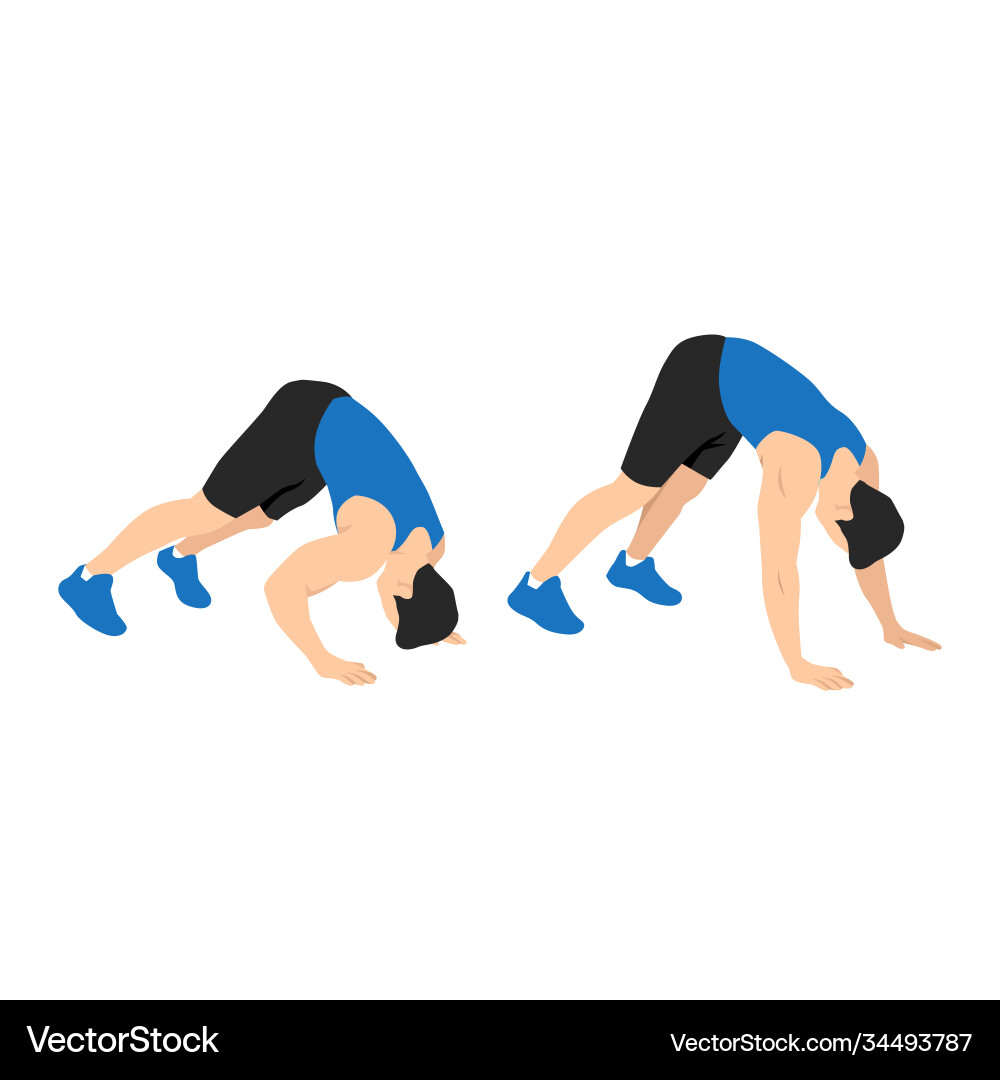 Dive Bomber Push-Ups vector image