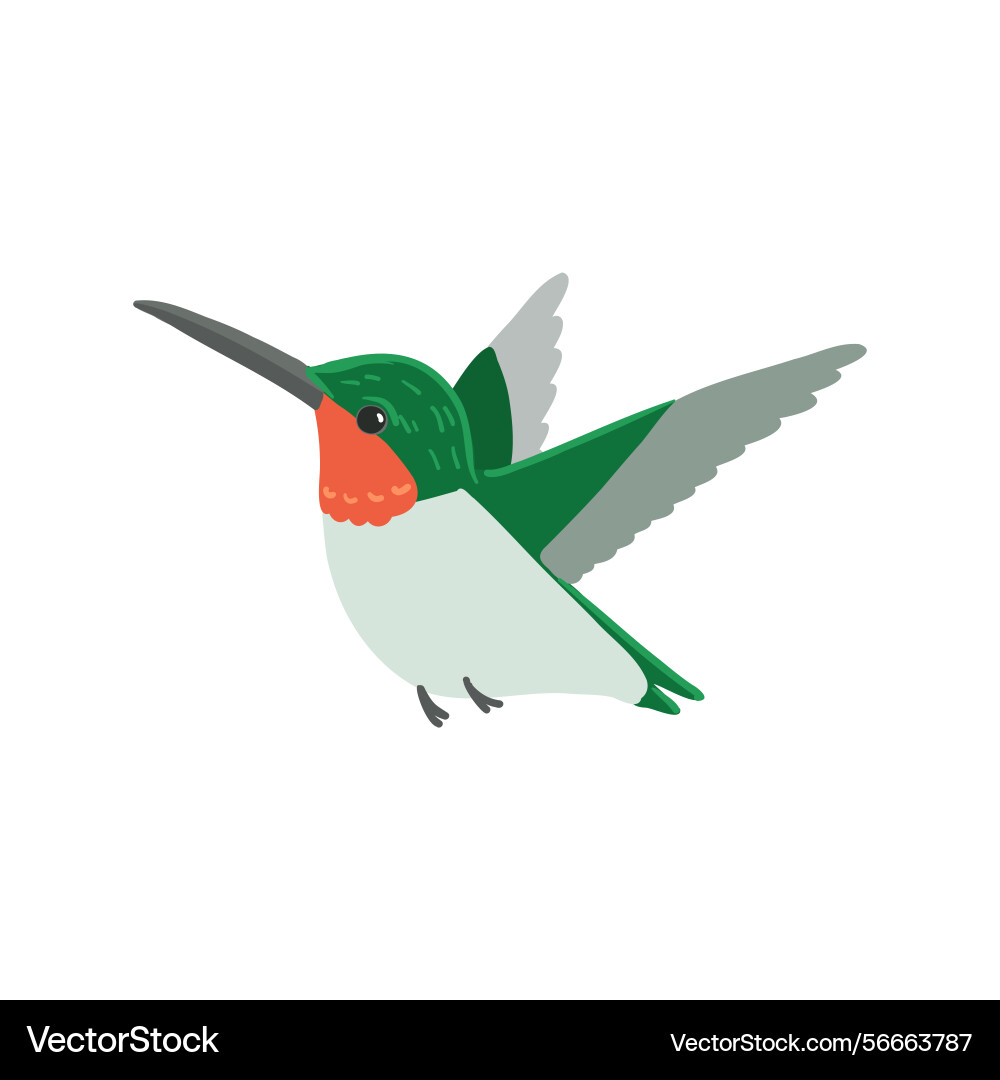 Drawing bird ruby-throated hummingbird Drawing bird ruby-throated hummingbird vector image
