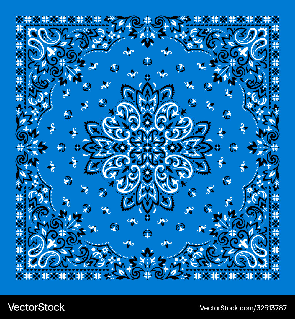 Traditional Paisley Bandana vector image