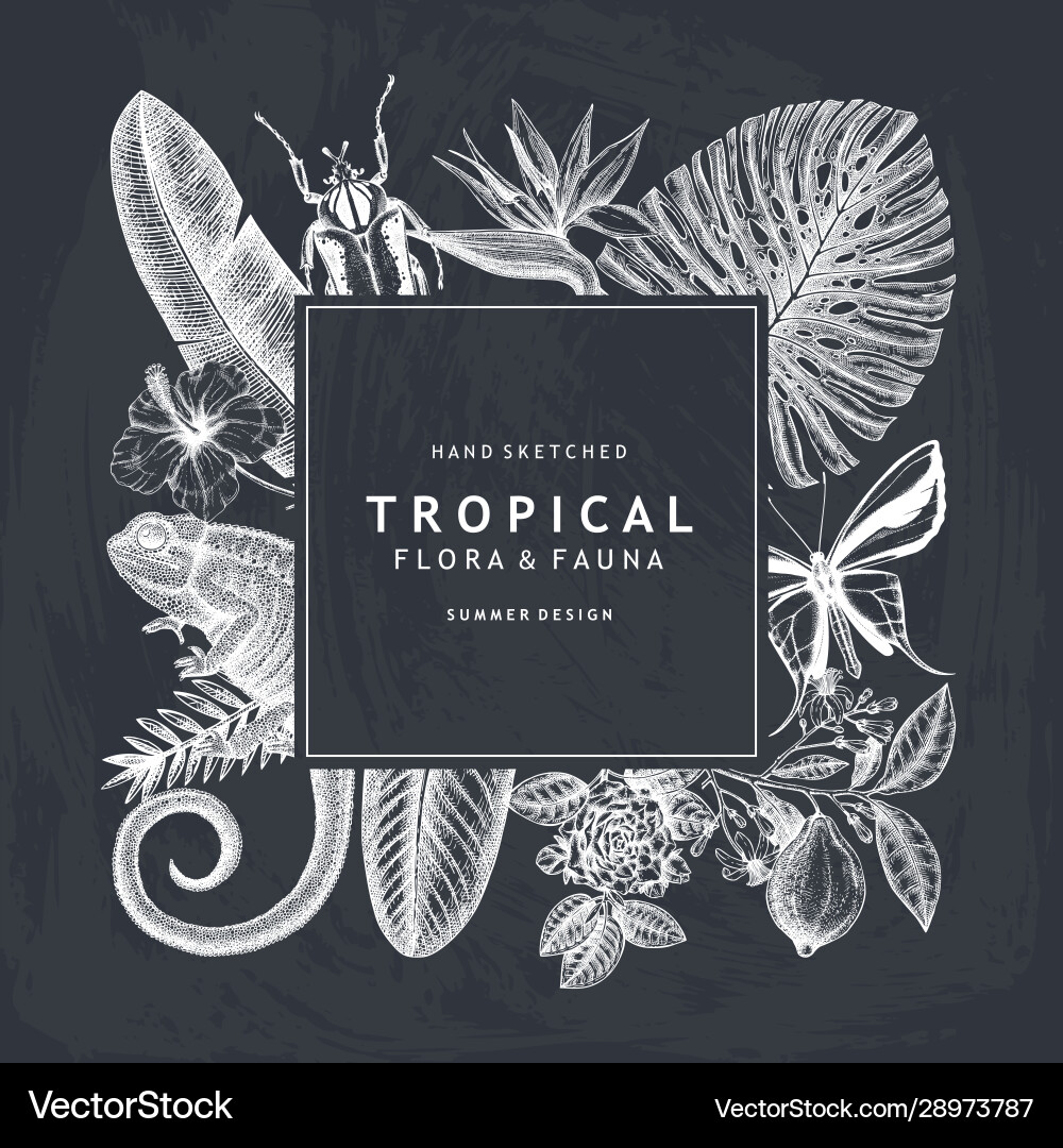 Tropical wreath design won chalkboard invitation Tropical wreath design won chalkboard invitation vector image