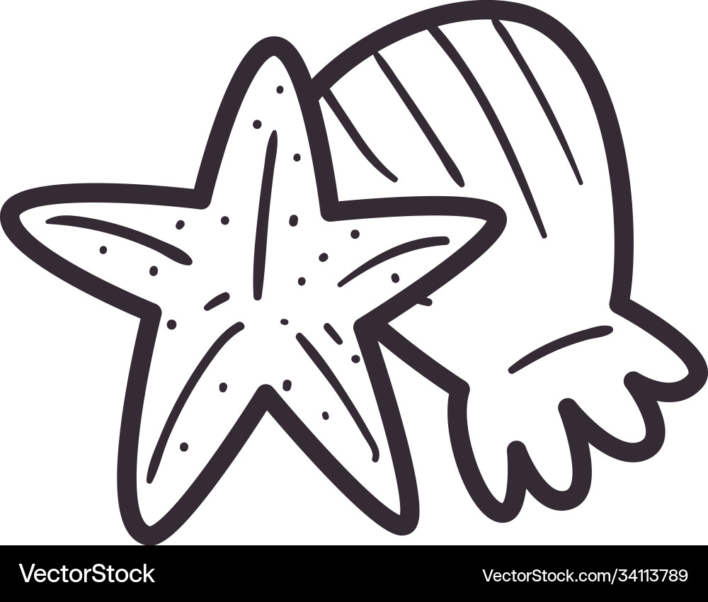 Seastar and shell line style icon design vector image
