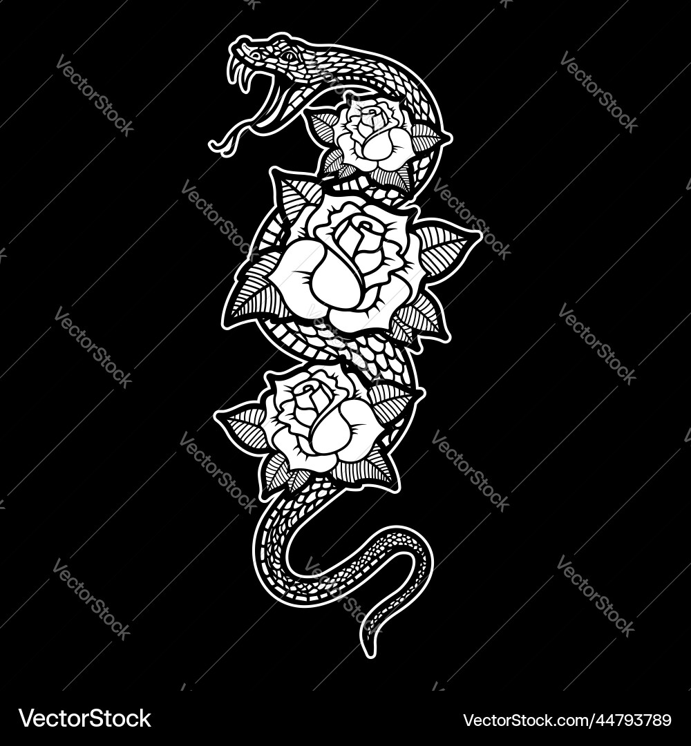 Snake on the background with roses design element Snake on the background with roses design element vector image