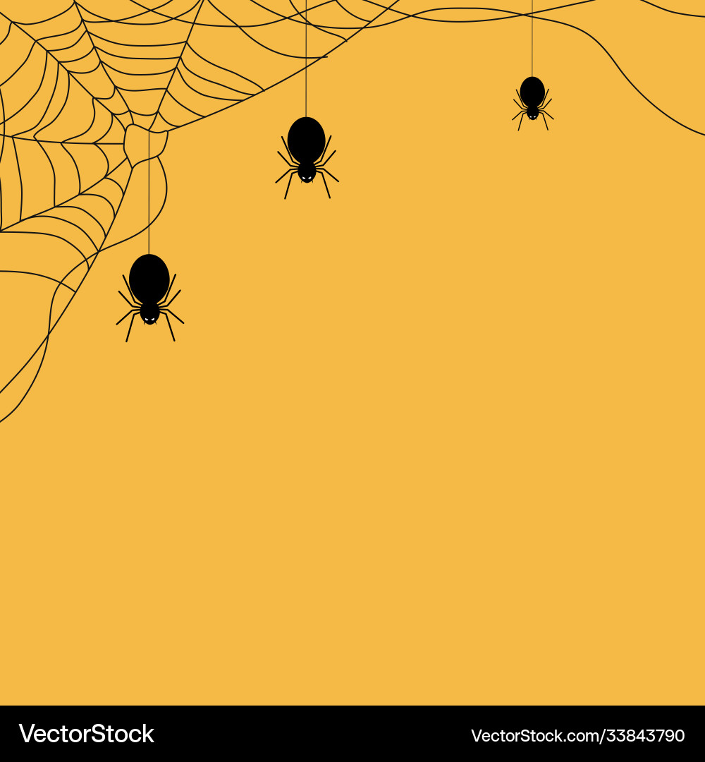 Background with spiders and web vector image