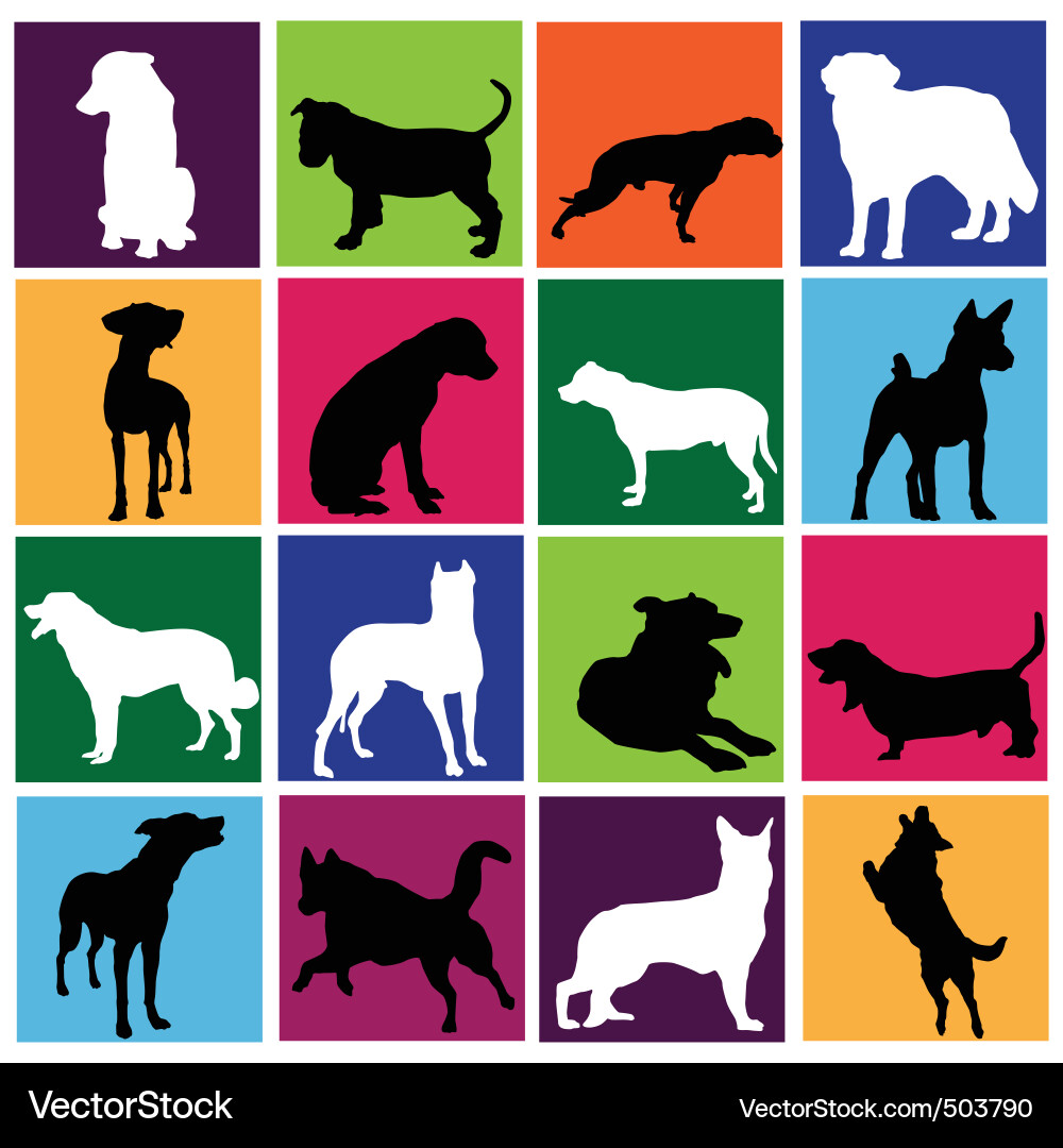 Dog Silhouette Collection vector image