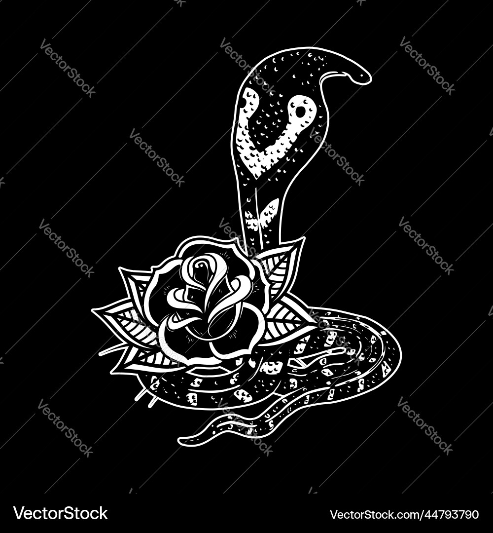 Snake on the background with roses design element Snake on the background with roses design element vector image