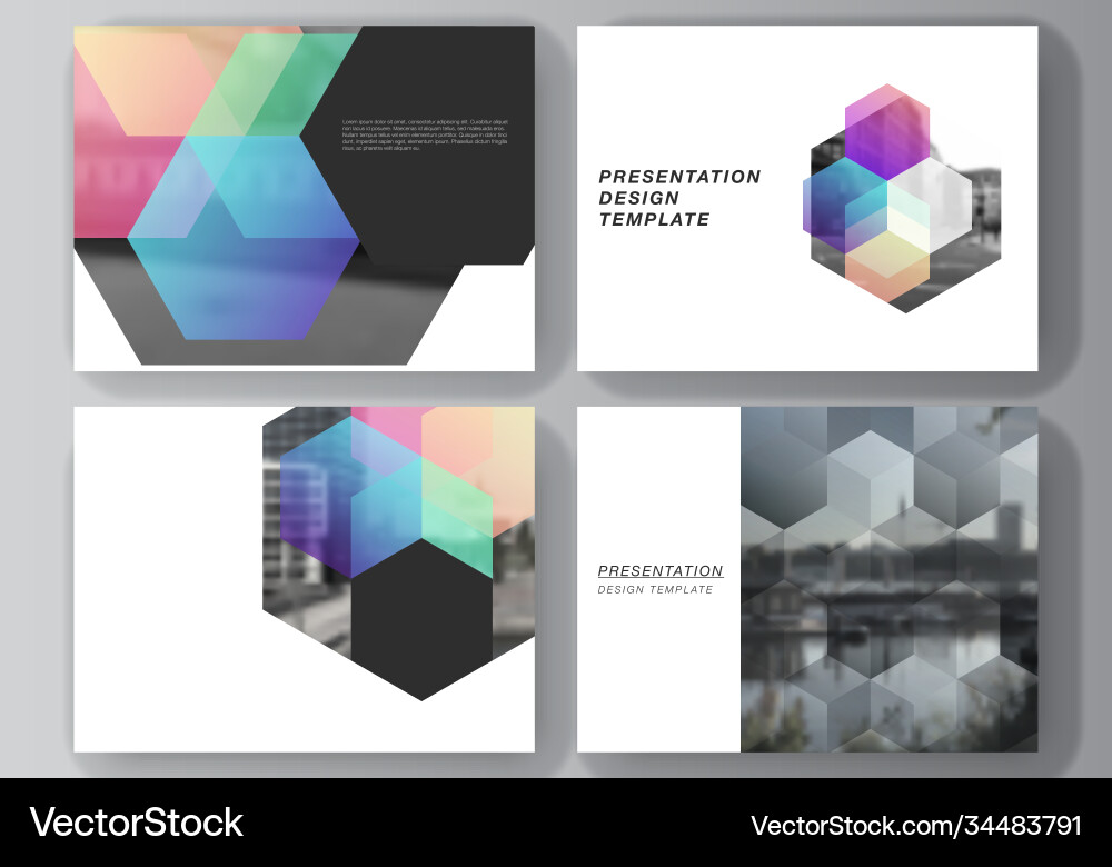 Hexagonal Presentation Slides vector image