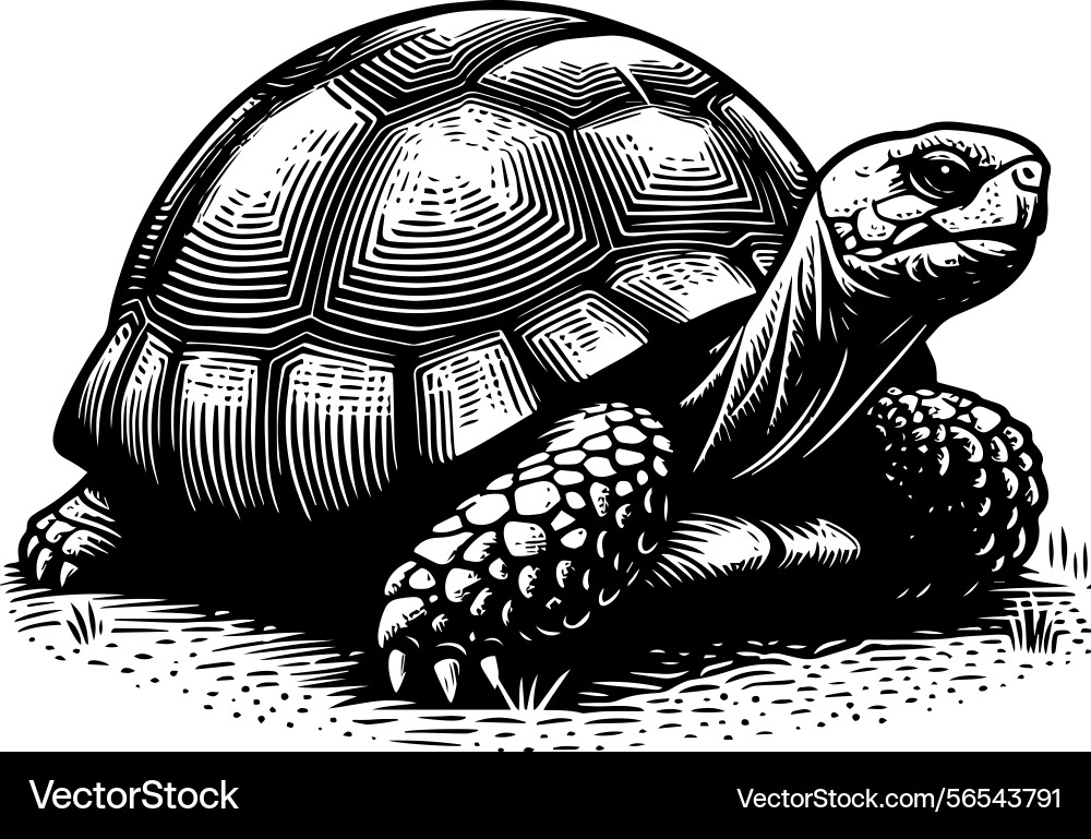 Simple gopher tortoise side view icon vintage Simple gopher tortoise side view icon vintage vector image