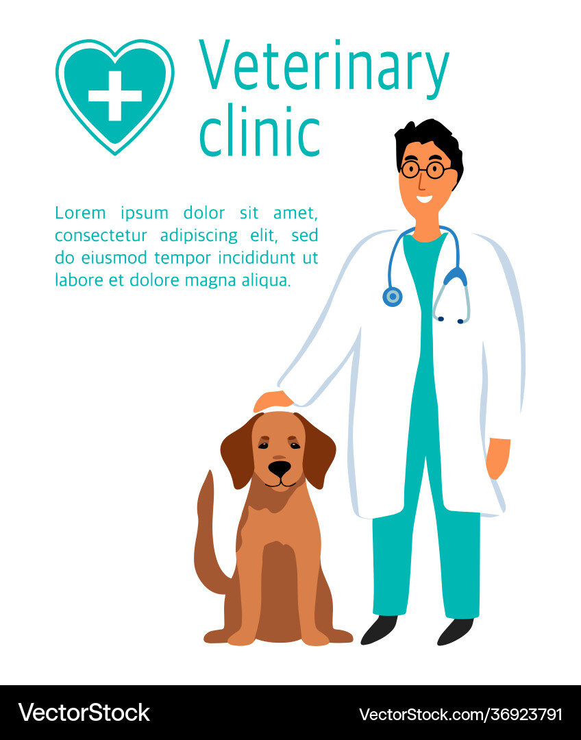 Veterinarian man doctor with dog labrador Veterinarian man doctor with dog labrador vector image
