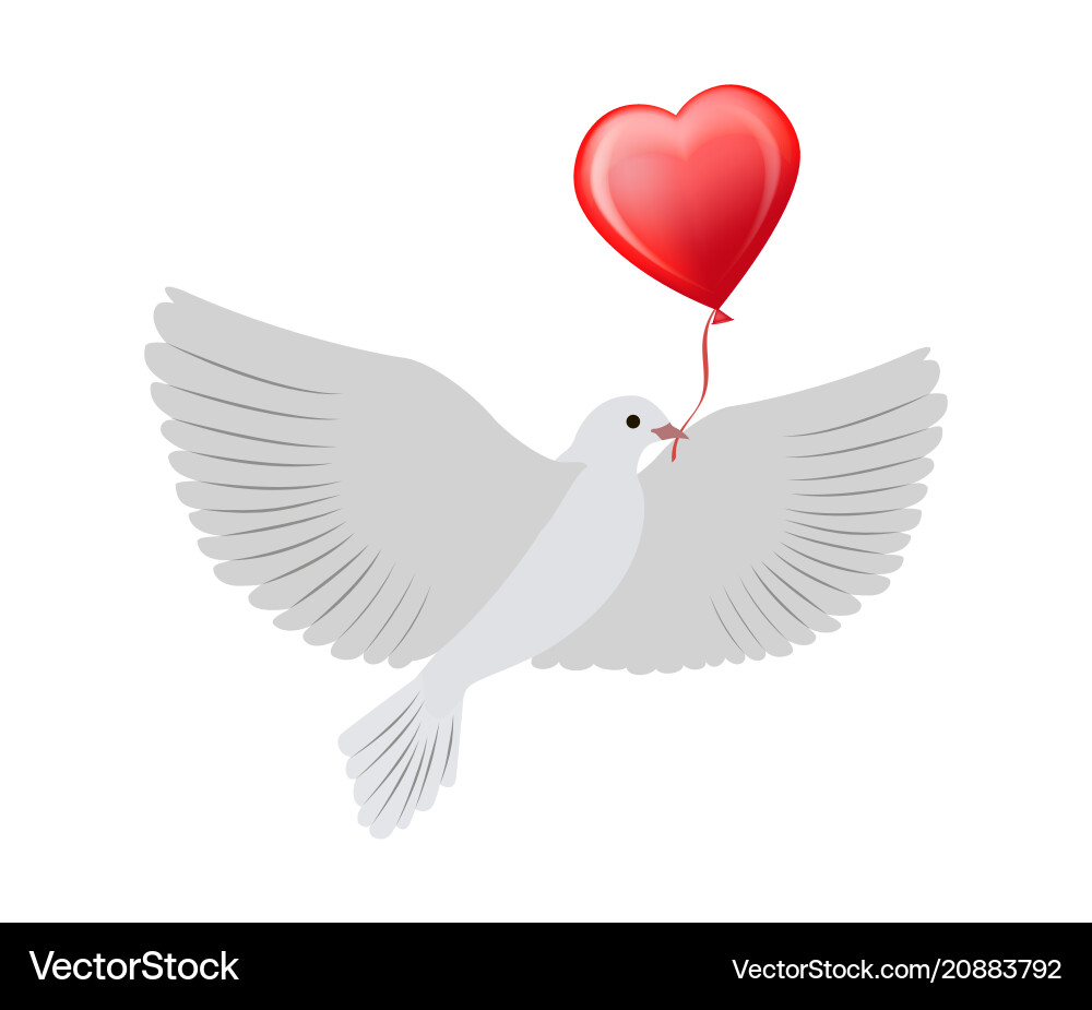 Dove flying with heart balloon Dove flying with heart balloon vector image