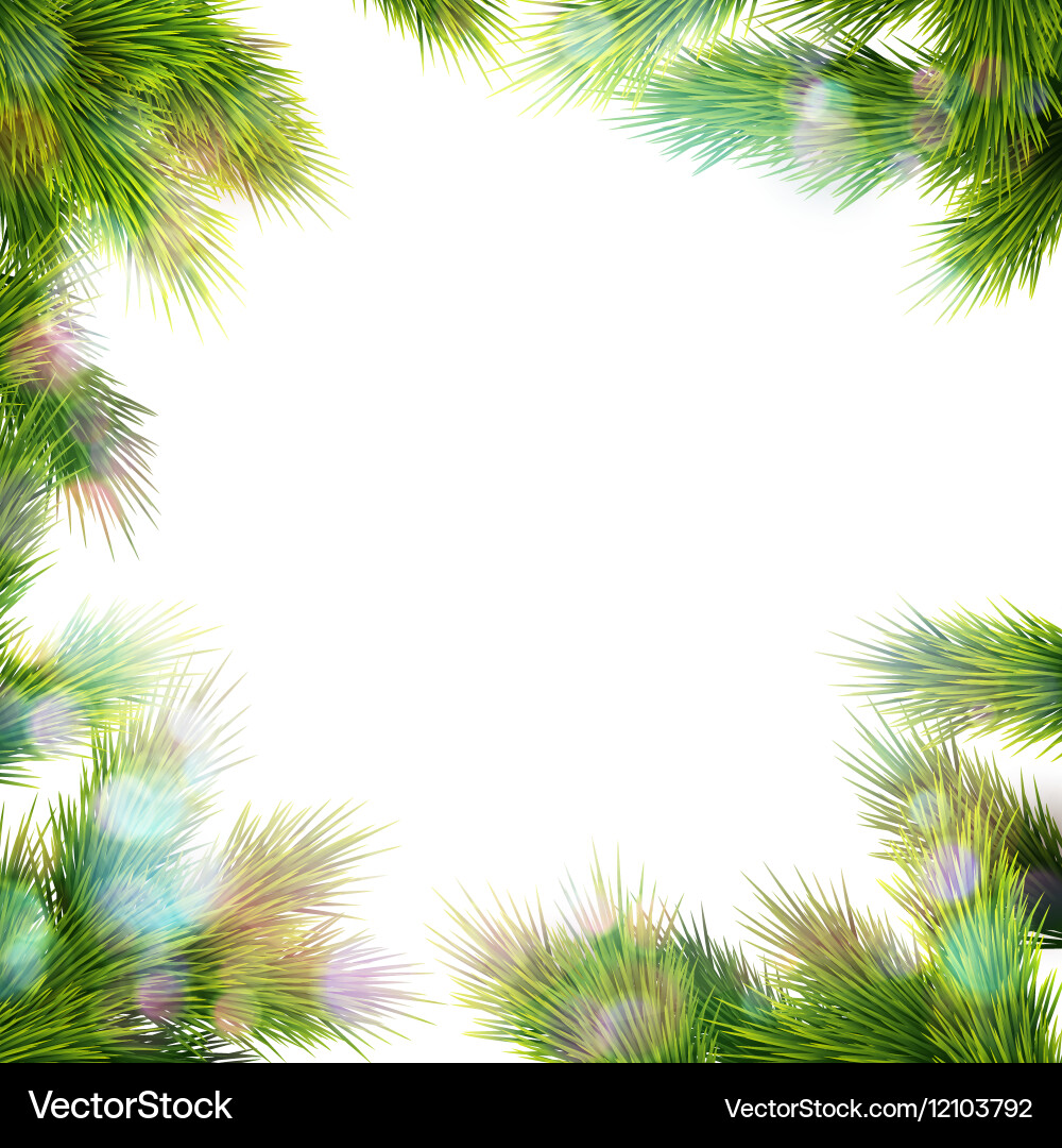 Frame of tree branches eps 10 vector image