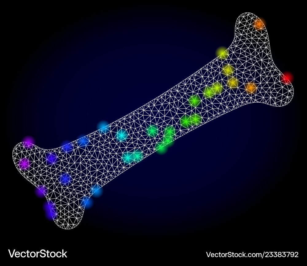 Network mesh bone with spectrum colored Network mesh bone with spectrum colored vector image