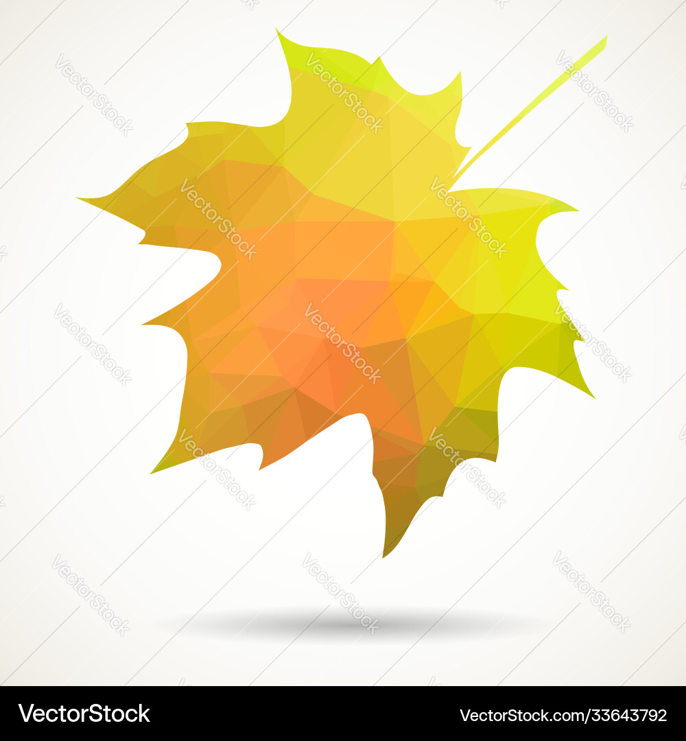 Triangular maple leaf vector image