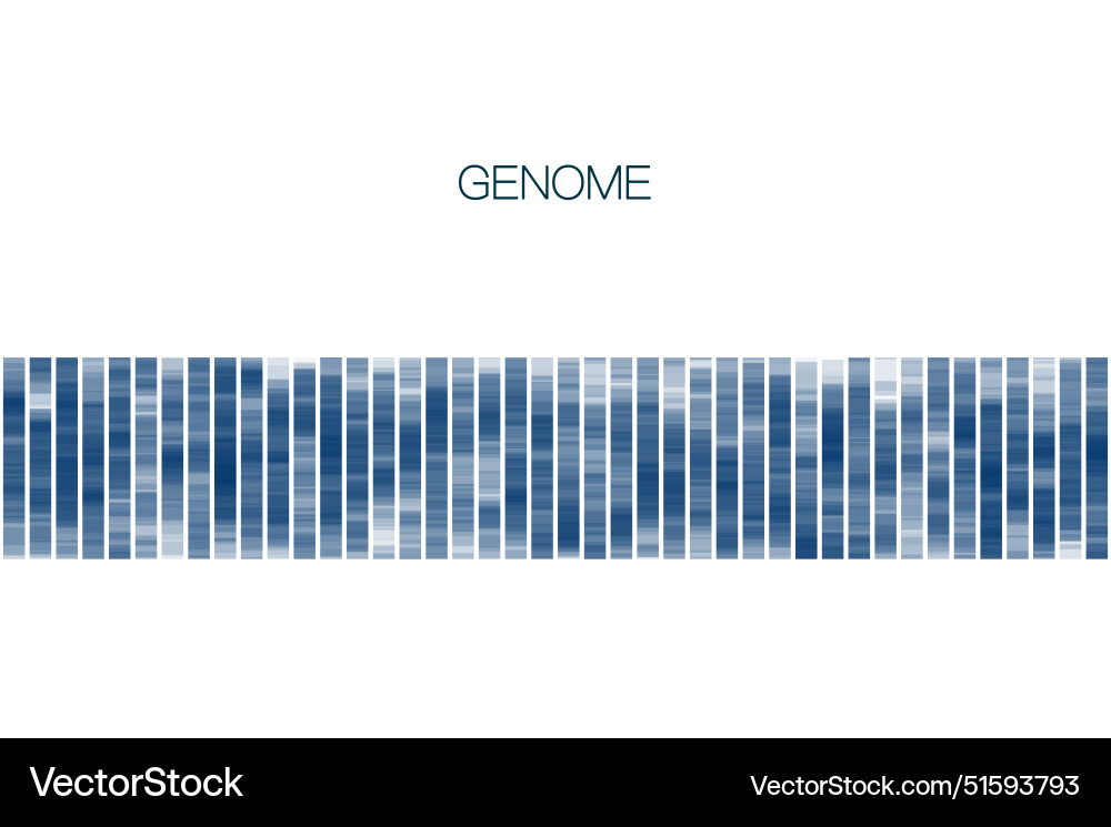 Big genomic data visualization vector image