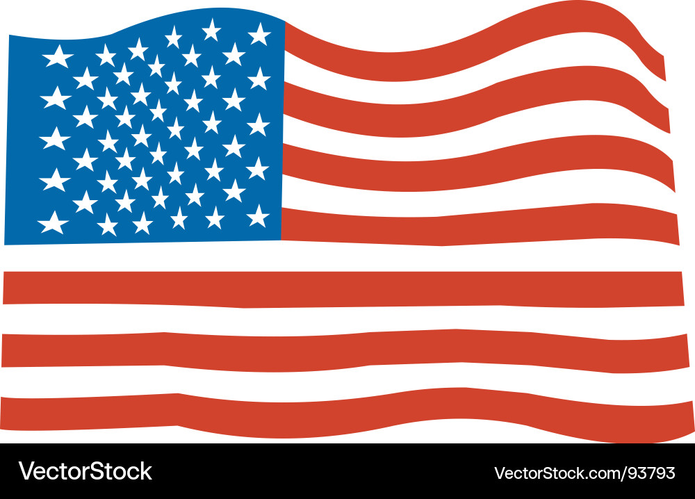 United States Flag vector image