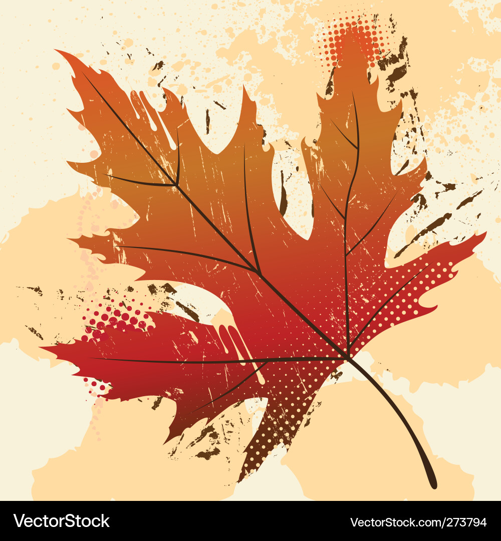 Leaf Vector Image