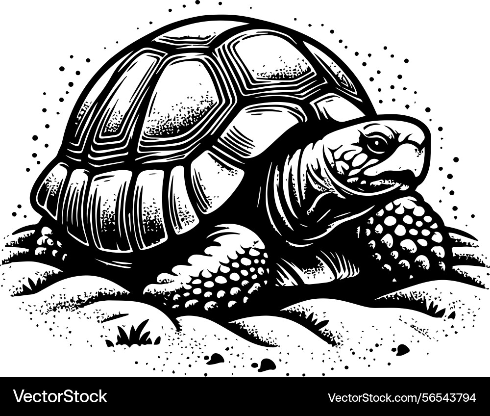 Simple gopher tortoise side view icon vintage Simple gopher tortoise side view icon vintage vector image