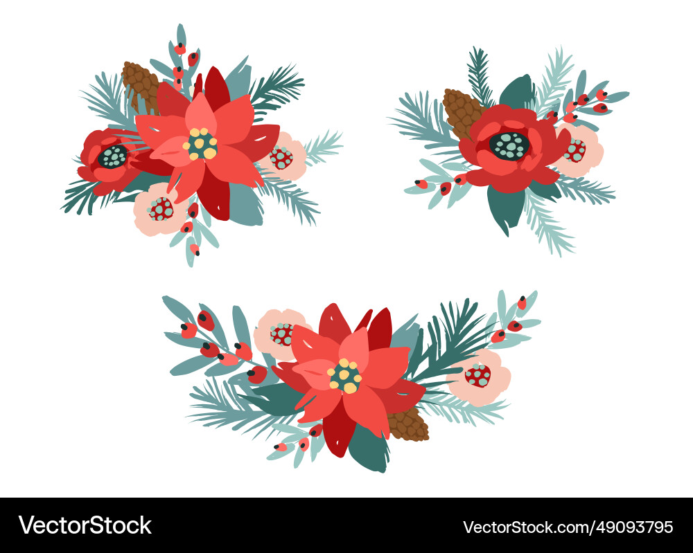 Set of christmas floral design elements flowers Set of christmas floral design elements flowers vector image
