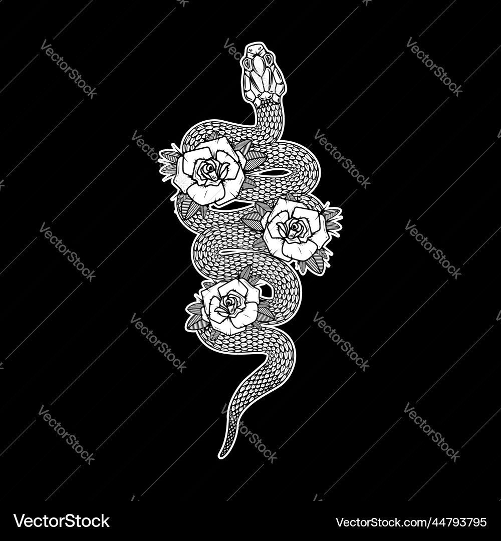 Snake on the background with roses design element Snake on the background with roses design element vector image