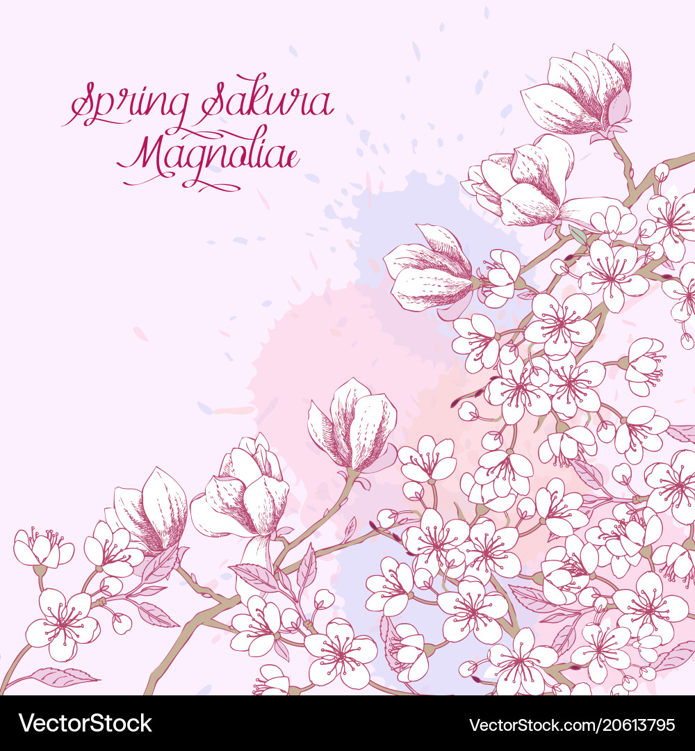 Spring background with sakura blossom trees Vector Image