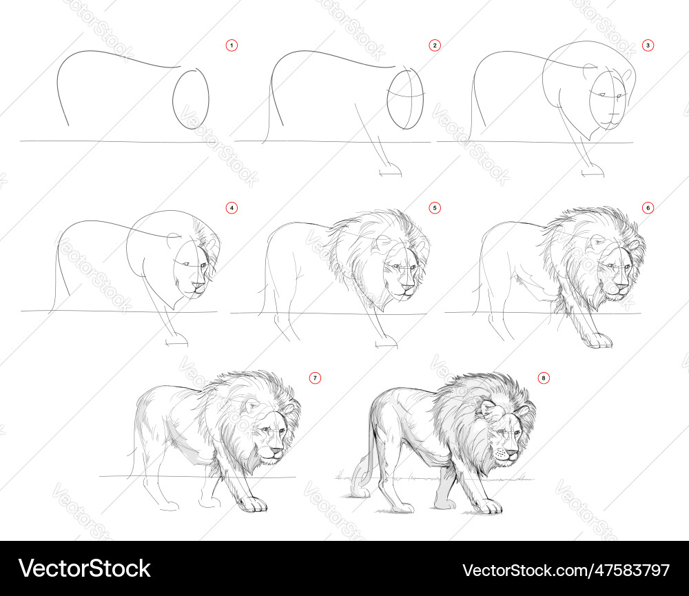 Page shows how to learn draw from life sketch Page shows how to learn draw from life sketch vector image