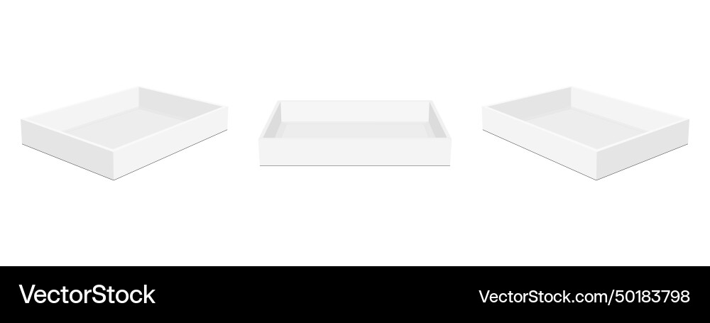 Empty rectangular tray boxes mockups vector image