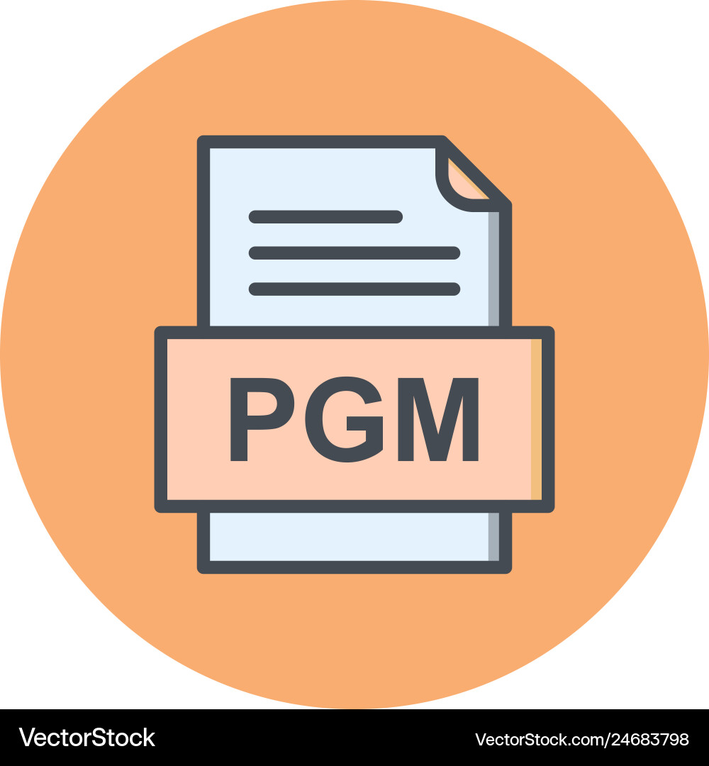 Pgm file document icon vector image