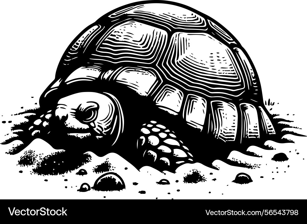 Simple gopher tortoise emerging from burrow icon Vector Image