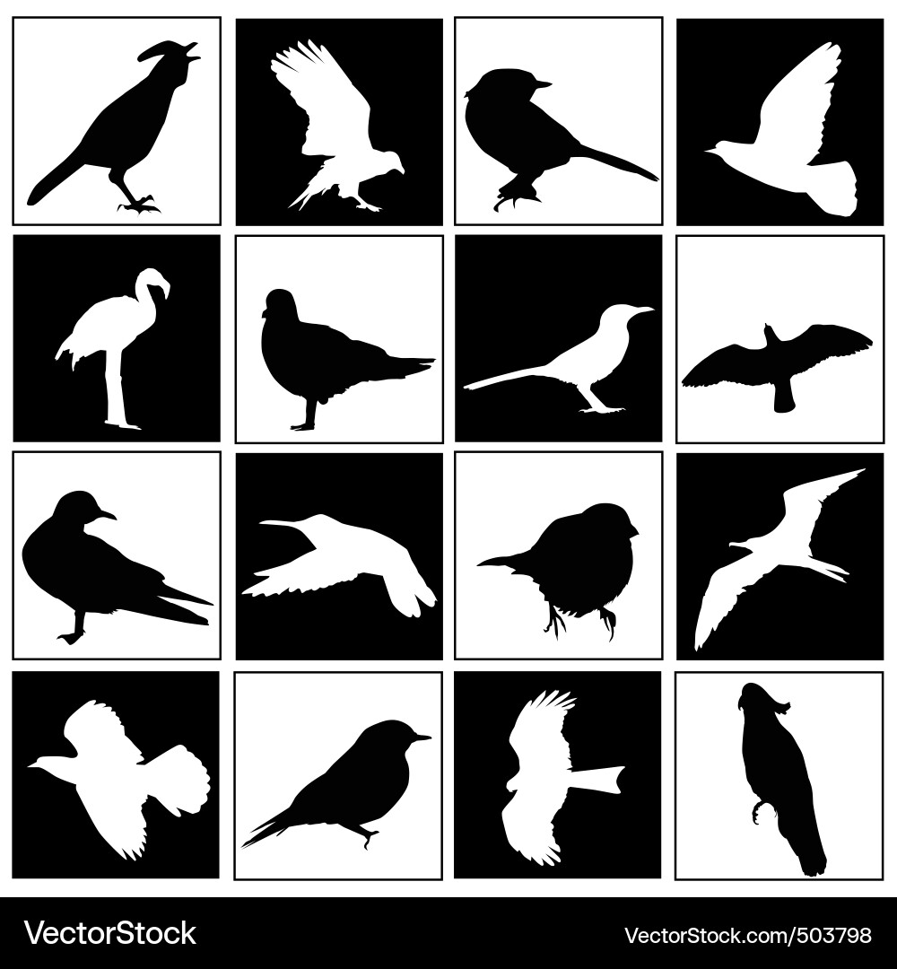 Vogel Silhouetten Vektorbild