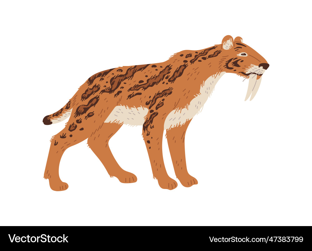 Smilodon prähistorische Tierwohnung Smilodon prähistorische Tierwohnung vektorbild