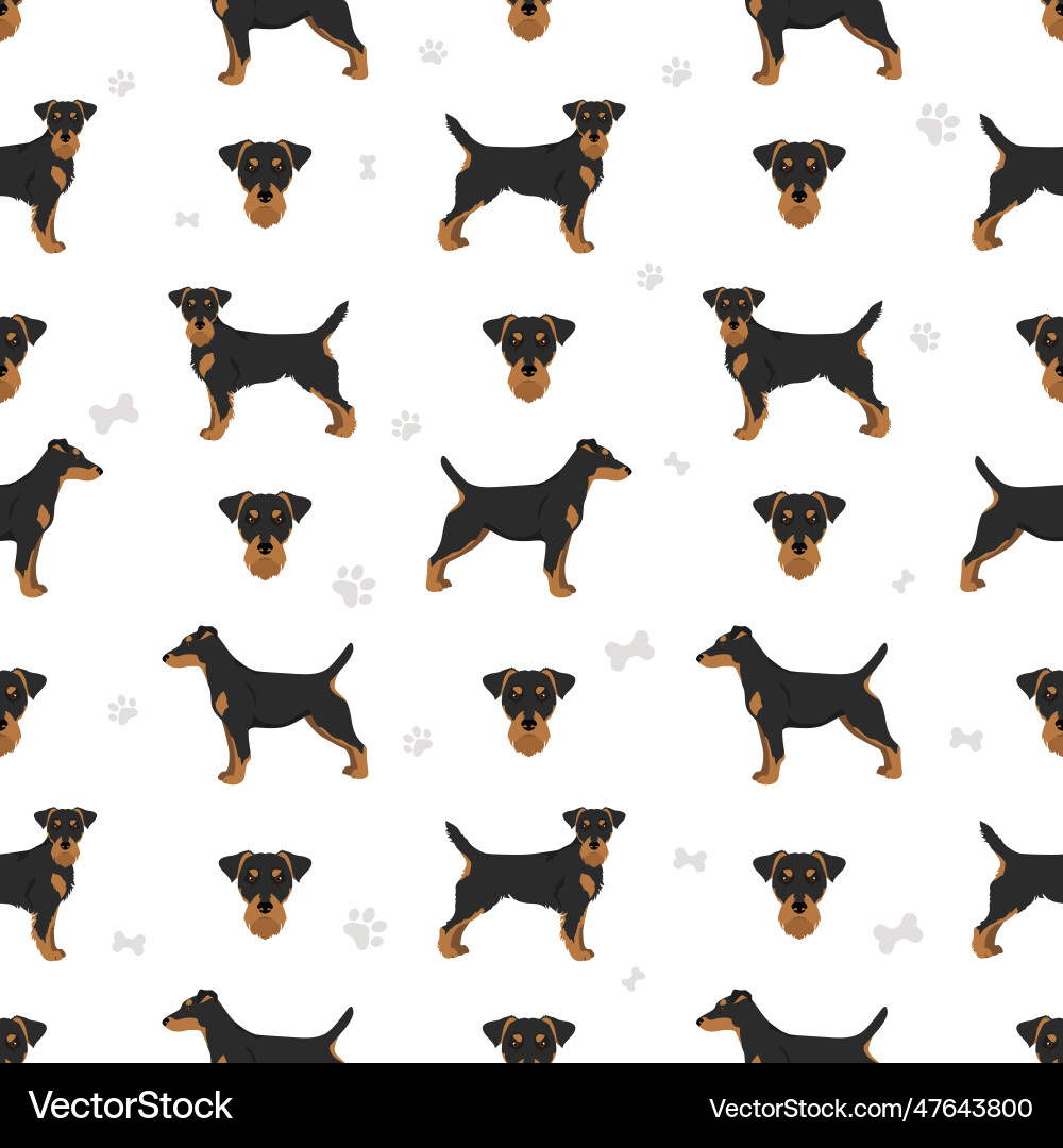 Jagdterrier seamless pattern different poses coat Jagdterrier seamless pattern different poses coat vector image
