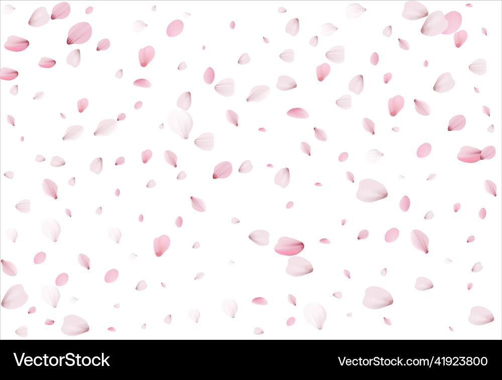 Sakura Blüten Hintergrund Kirsche Sakura Blüten Hintergrund Kirsche vektorbild