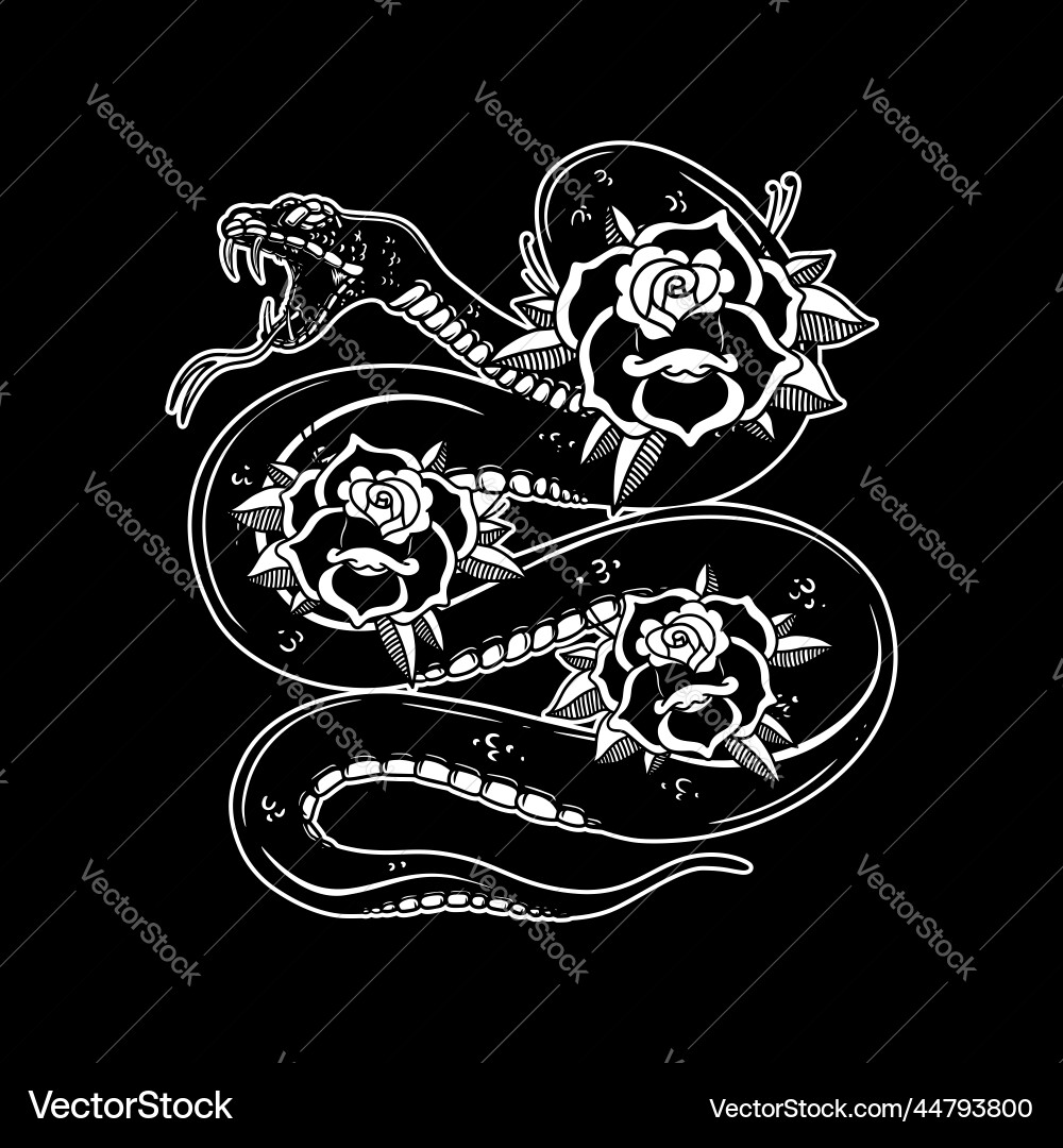 Snake on the background with roses design element vector image