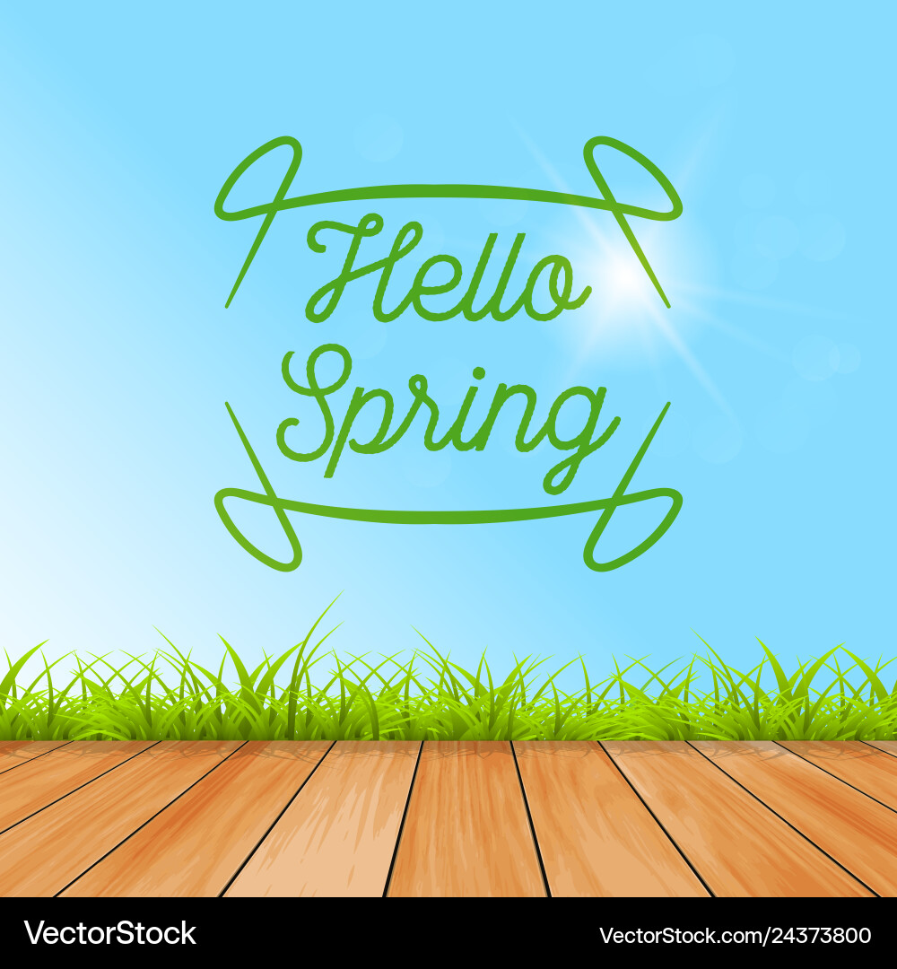 Spring hello colorful background stylish Vector Image