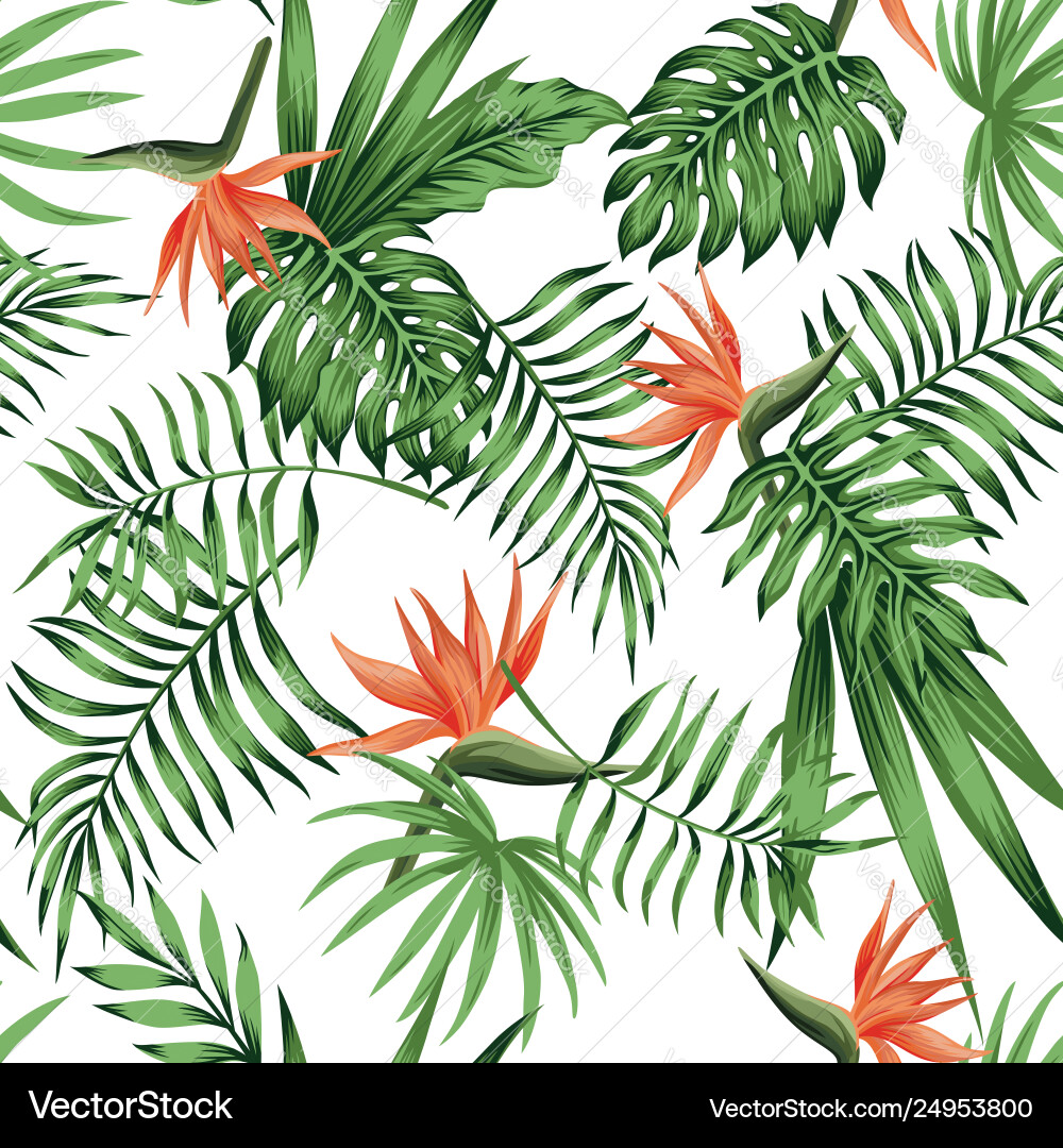 Strelitzia Paradise Pattern vector image