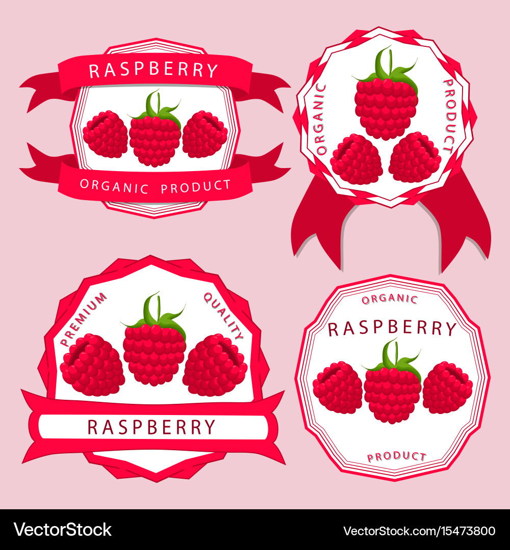 Theme raspberry Vector Image