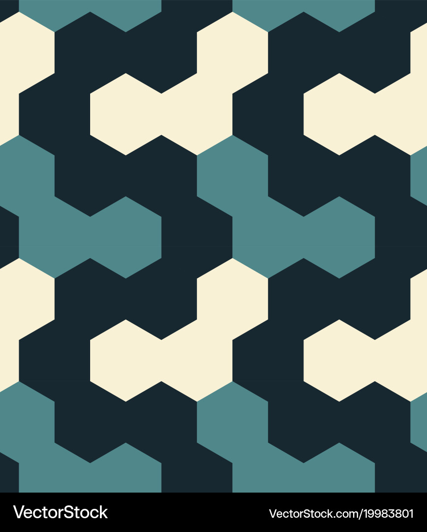 Irregular hexagon seamless pattern vector image
