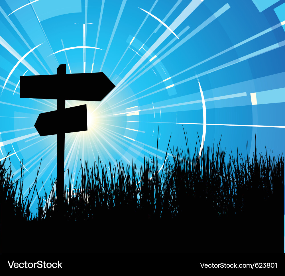 Pathways and Choices vector image