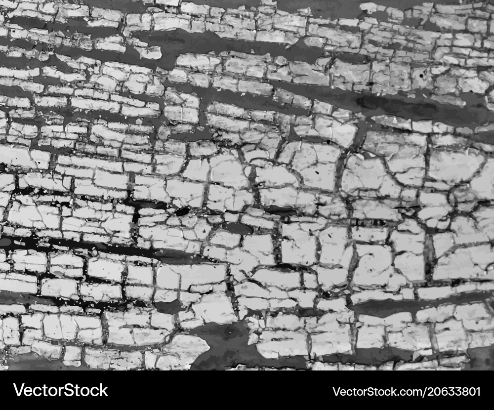 Scratch grunge rusty background for create object Vector Image