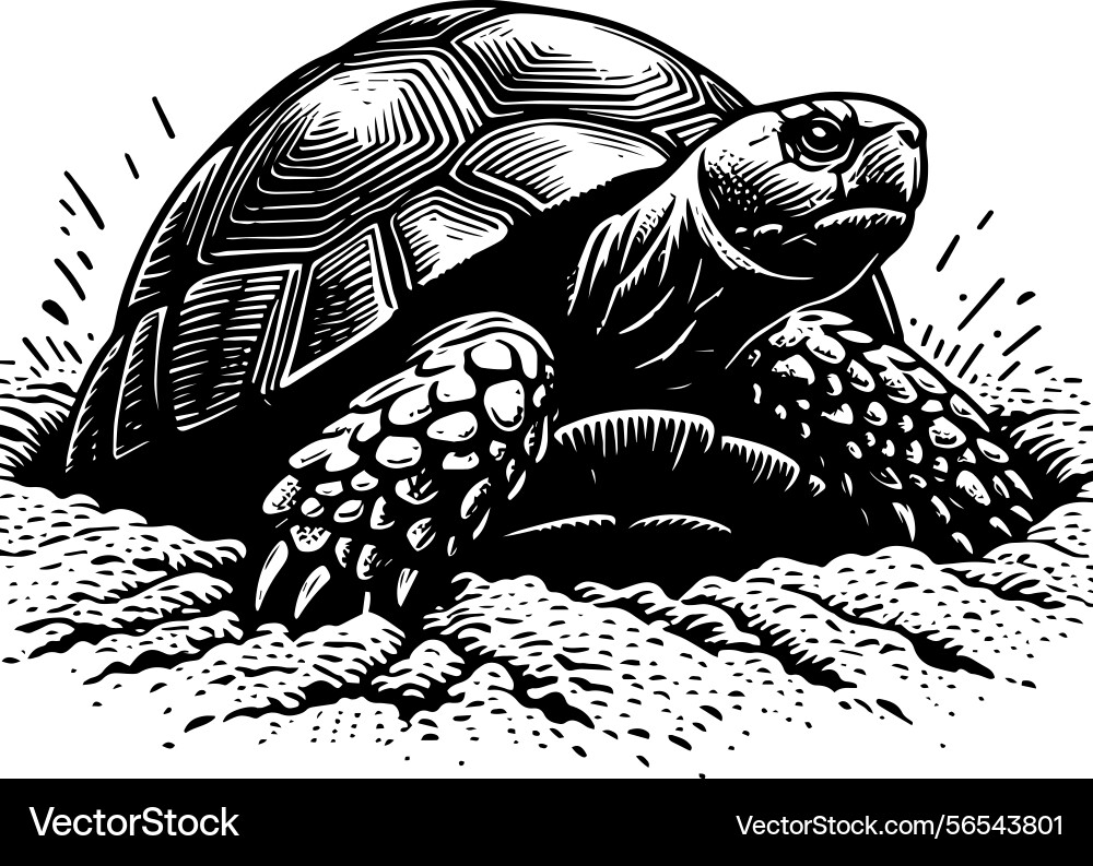 Simple gopher tortoise emerging from burrow icon Vector Image