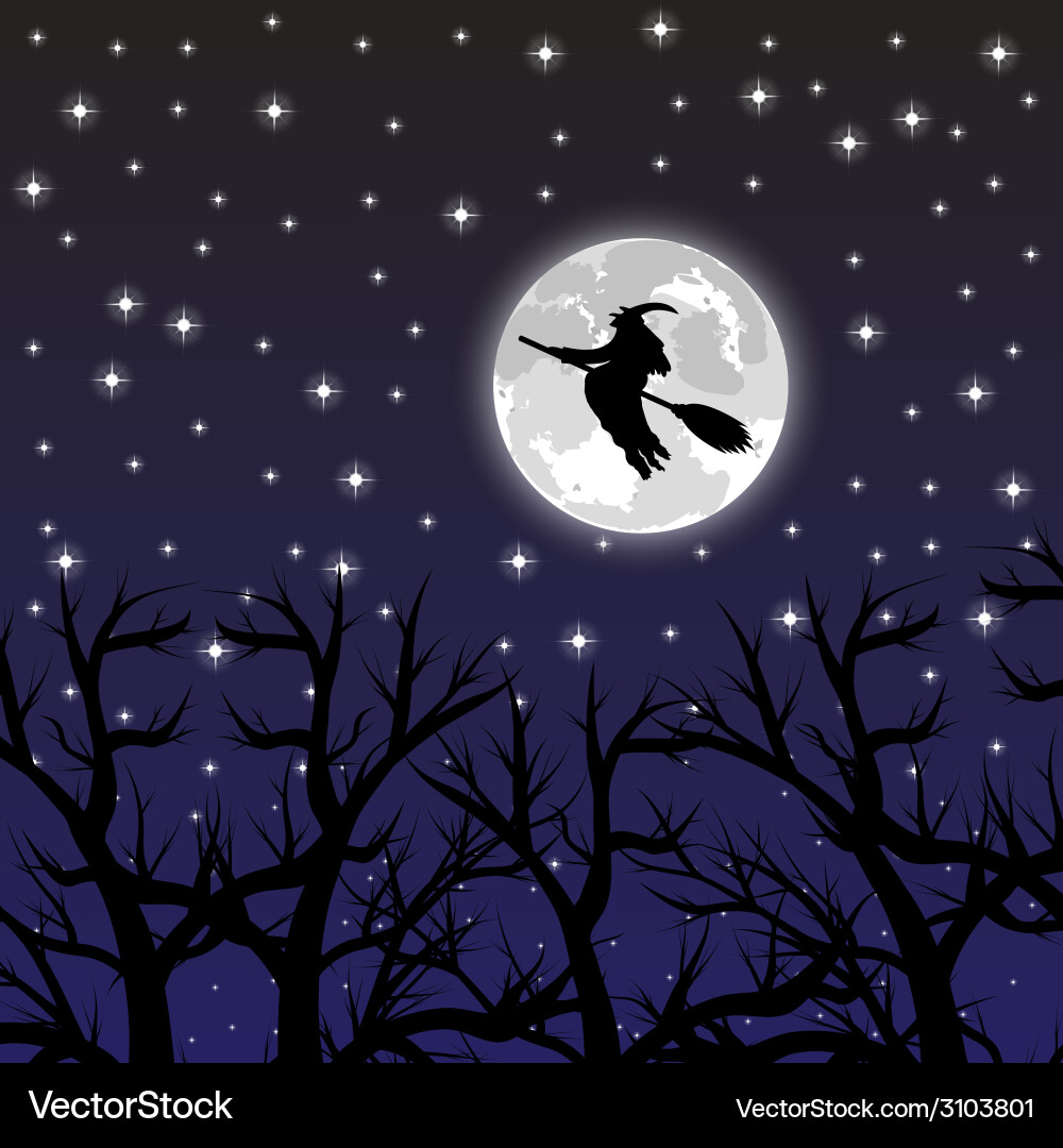 Witch flying on a broom full moon Vector Image