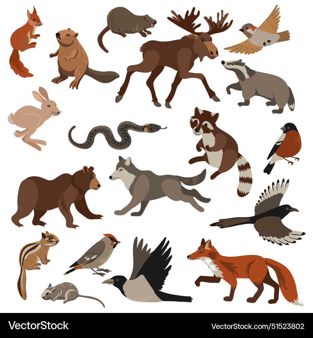 Drawing forest animals Drawing forest animals vector image