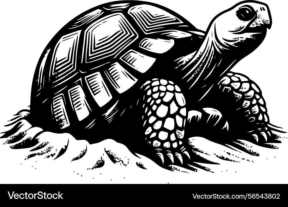 Simple gopher tortoise emerging from burrow icon Vector Image