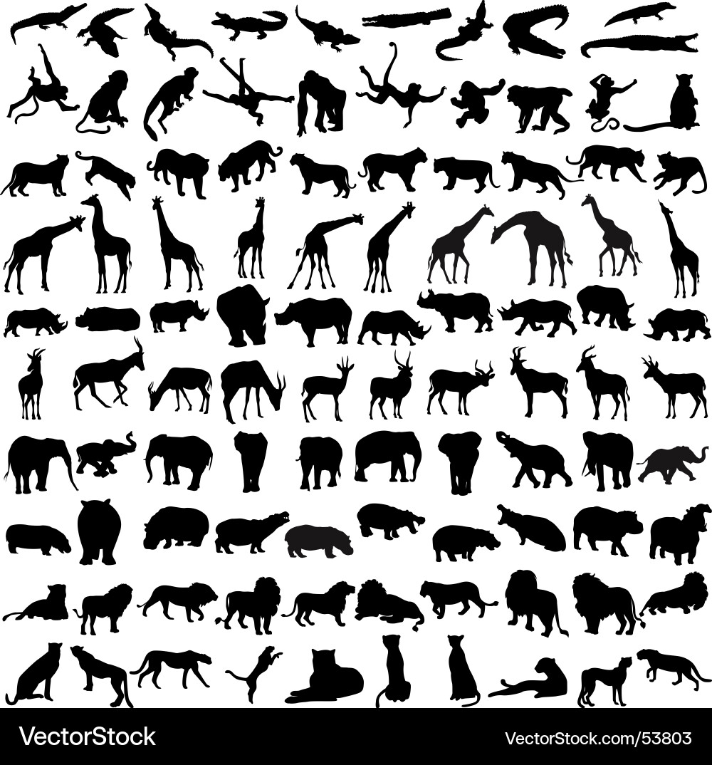 African Wildlife Silhouette vector image