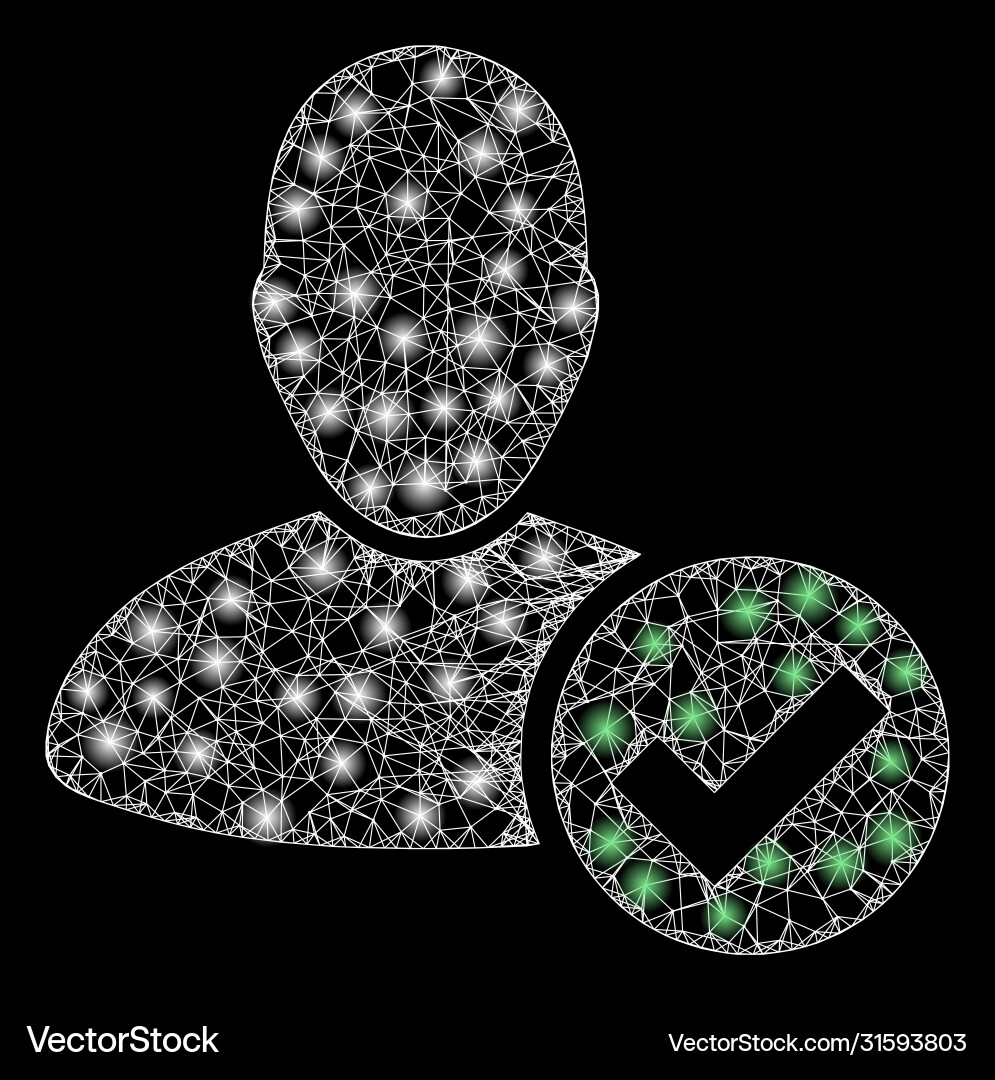 Bright web network valid user with light spots vector image