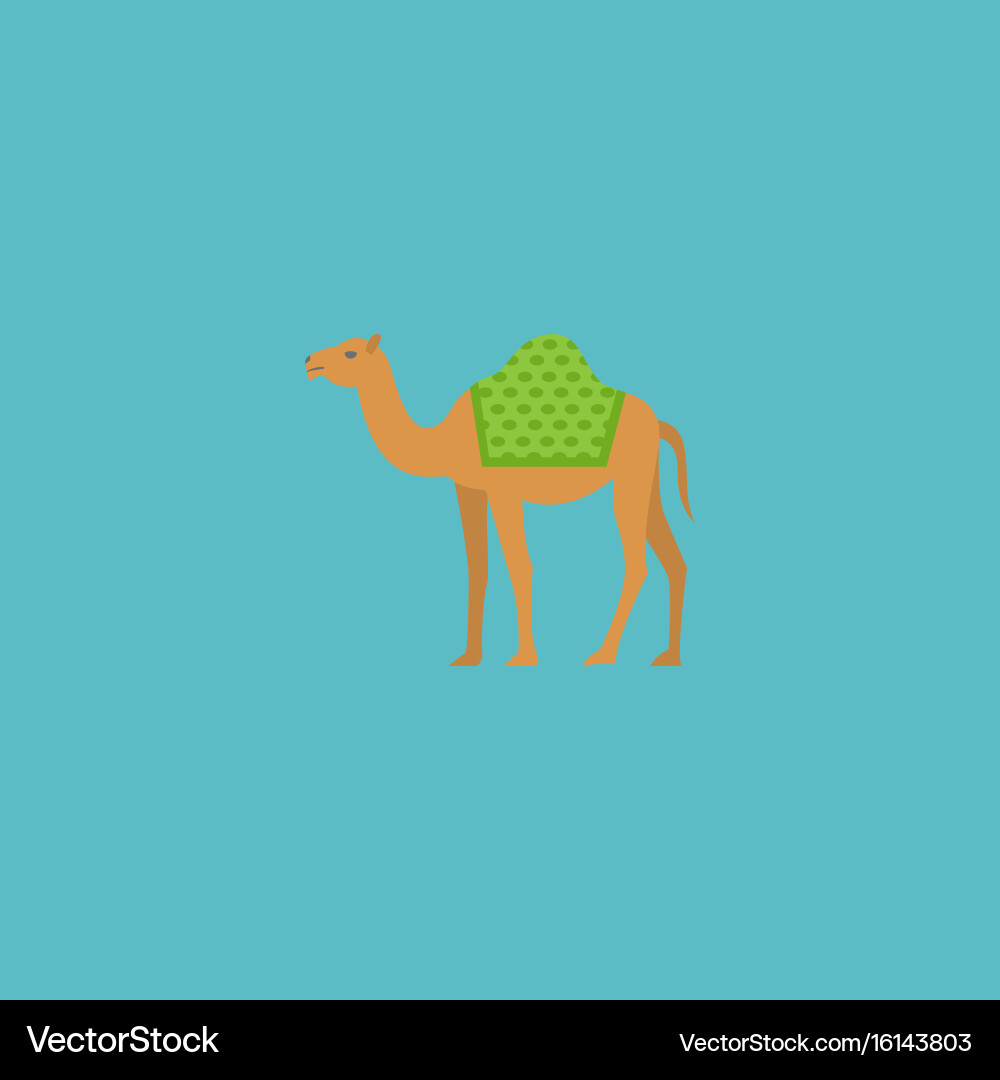 Flat icon camel element vector image
