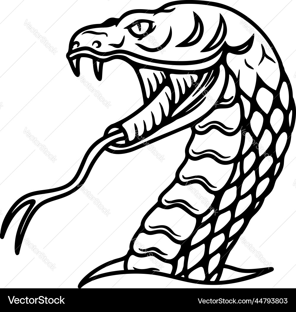 Snake head in engraving style design element Snake head in engraving style design element vector image